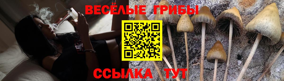 Галлюциногенные грибы Cubensis  Вход с VPN  Алатырь 
